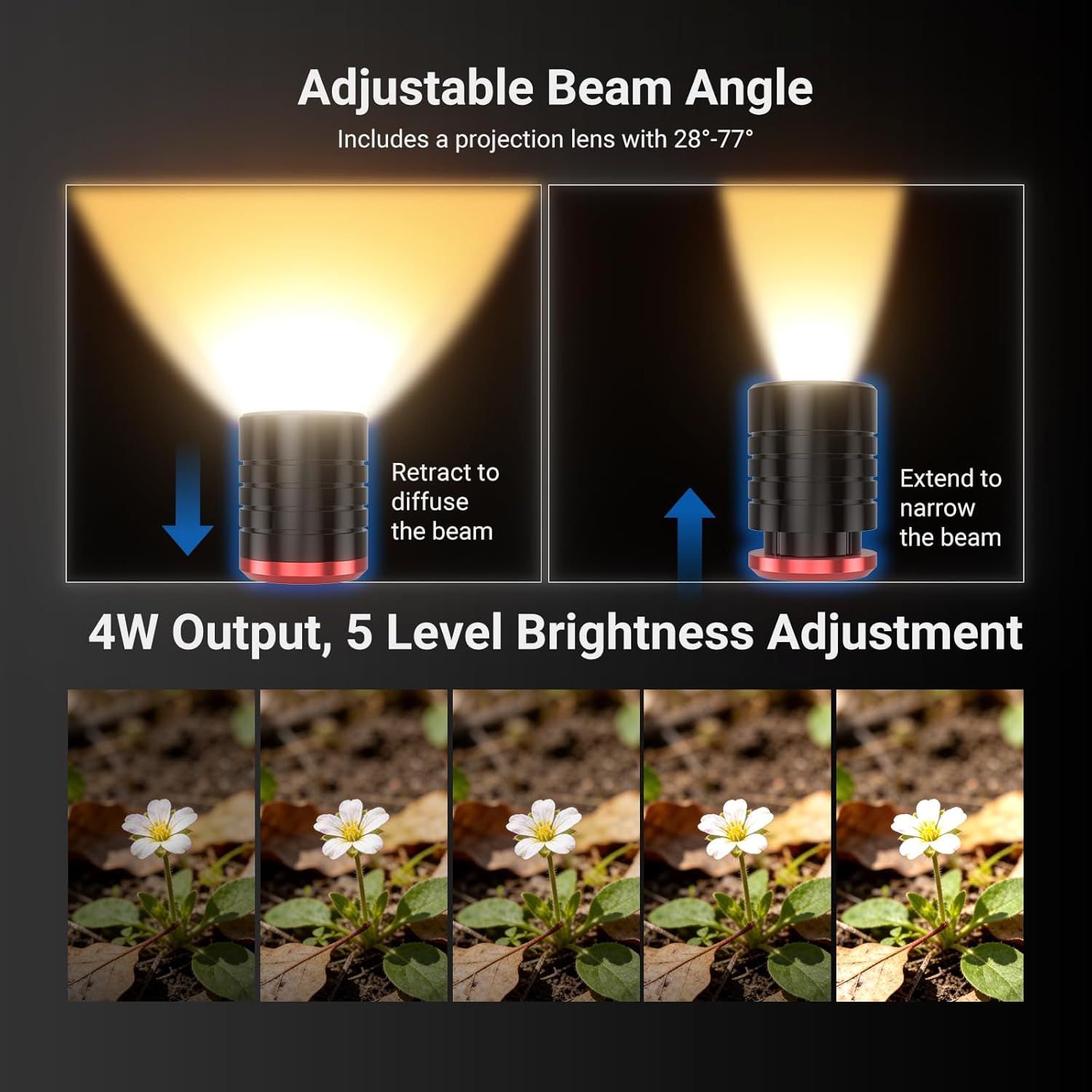 NEEWER BASICS 2 Pack ML01 USB  - Photography Lighting Basics review and price