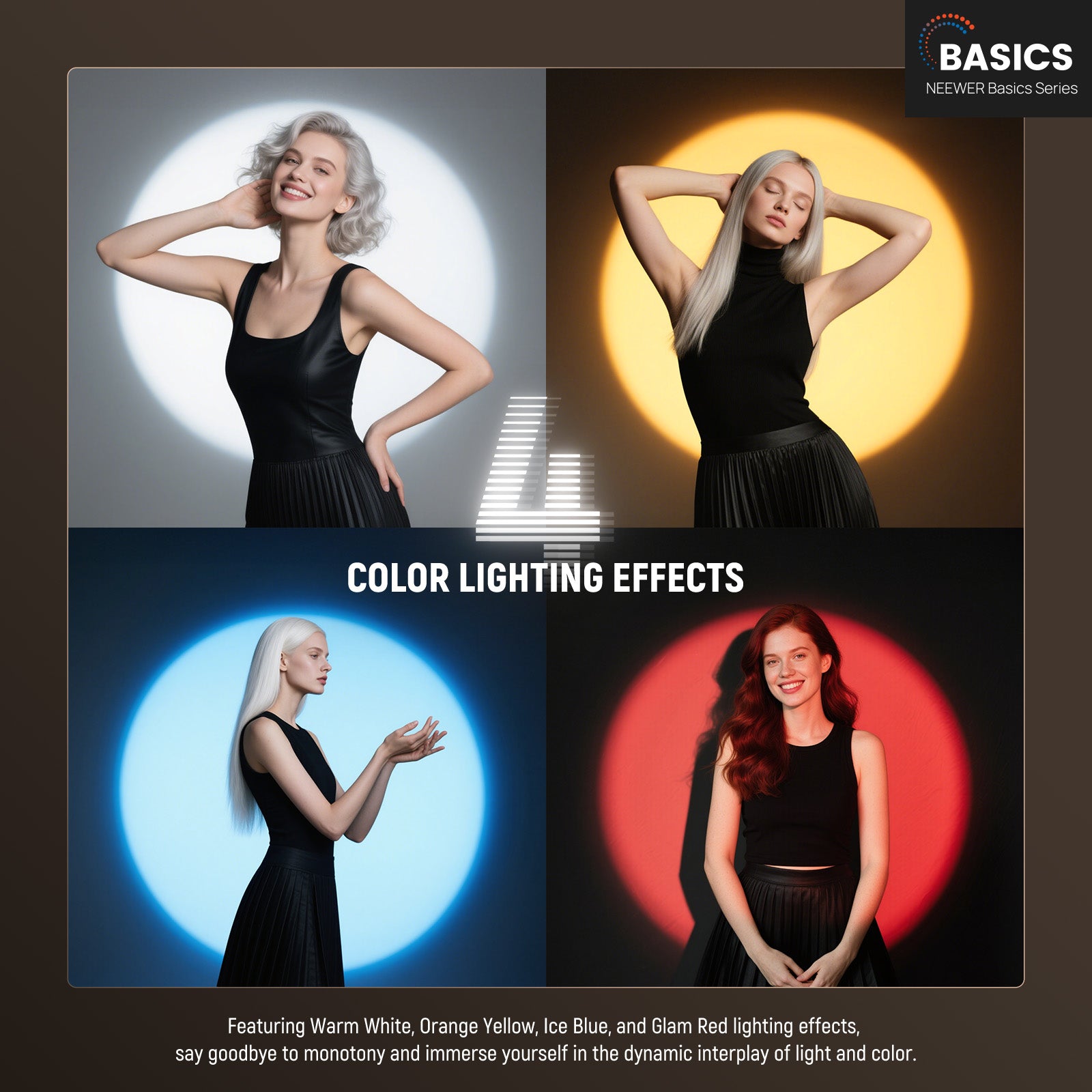 NEEWER BASICS FL10 Photography - Photography Lighting Basics review and price